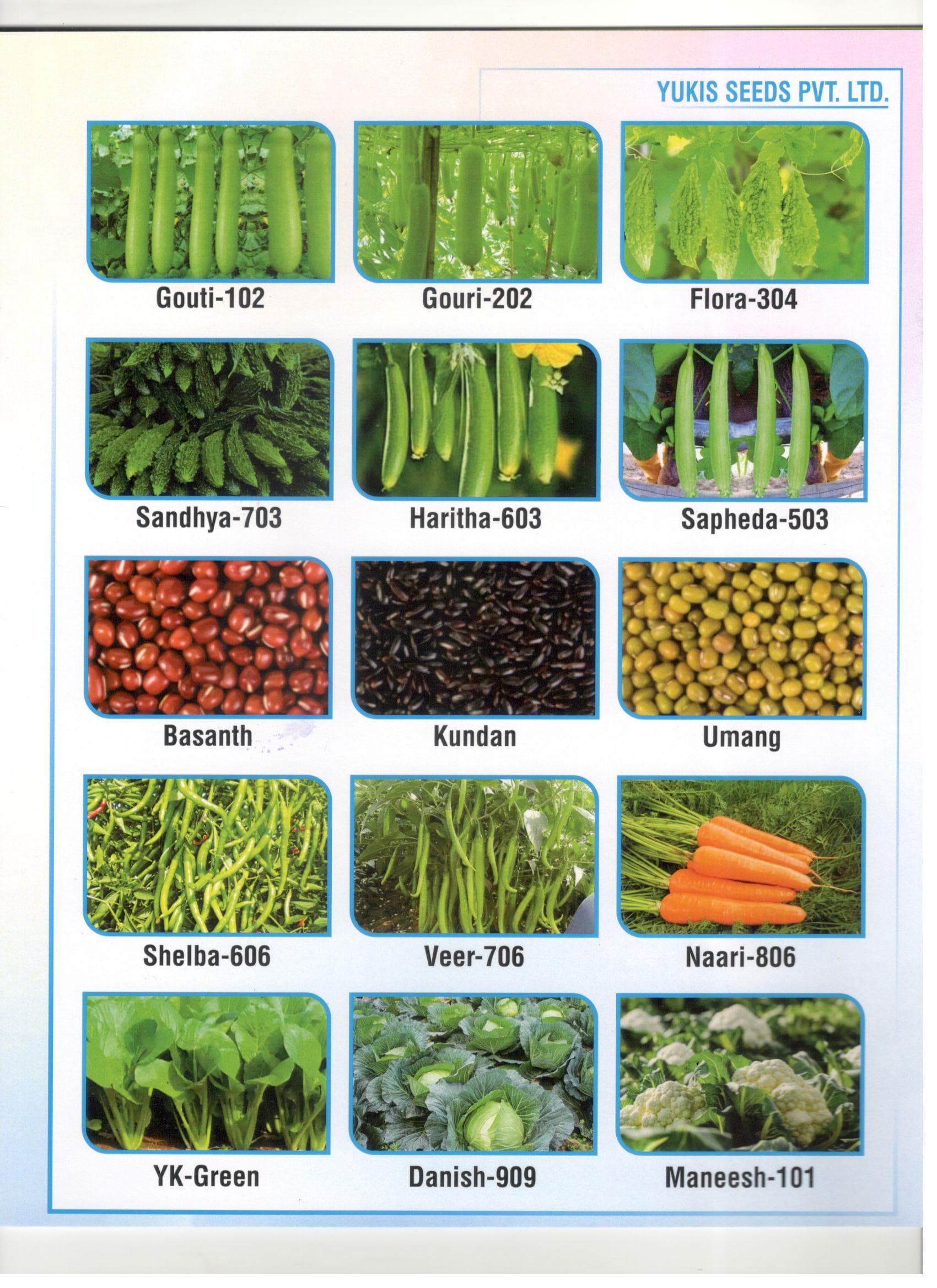 Yukis Seeds - Vegetable Seeds Collection 1